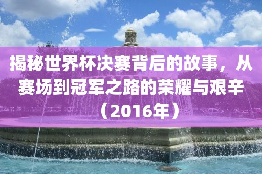 揭秘世界杯决赛背后的故事，从赛场到冠军之路的荣耀与艰辛（2016年）