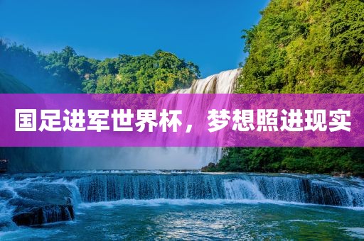 国足进军世界杯，梦想照进现实