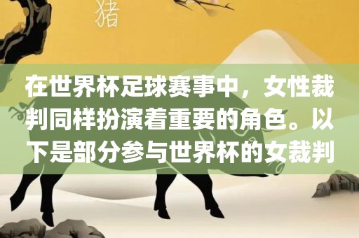 在世界杯足球赛事中，女性裁判同样扮演着重要的角色。以下是部分参与世界杯的女裁判