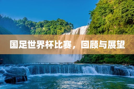 国足世界杯比赛，回顾与展望