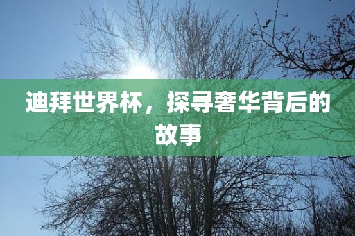 迪拜世界杯，探寻奢华背后的故事