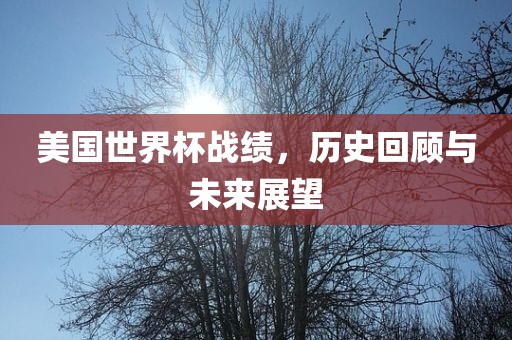 美国世界杯战绩，历史回顾与未来展望洪湖市顺升工程机械租赁有限公司