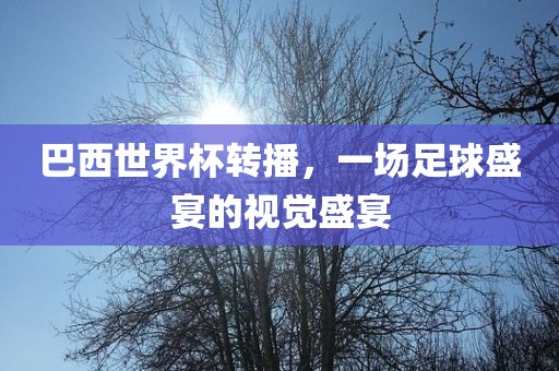 巴西世界杯转播，一场足球盛宴的视觉盛宴洪湖市顺升工程机械租赁有限公司
