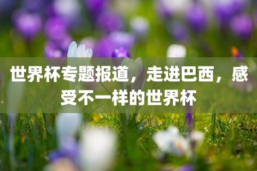 世界杯专题报道，走进巴西，感受不一样的世界杯洪湖市顺升工程机械租赁有限公司