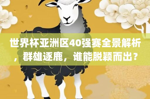 世界杯亚洲区40强赛全景解析，群雄逐鹿，谁能脱颖而出？