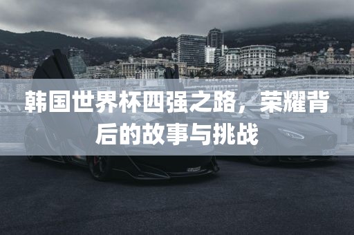 韩国世界杯四强之路，荣耀背后的故事与挑战