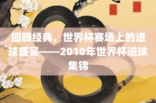 回顾经典，世界杯赛场上的进球盛宴——2010年世界杯进球集锦