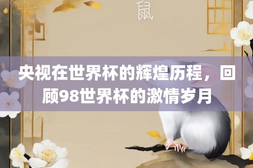 央视在世界洪湖市顺升工程机械租赁有限公司杯的辉煌历程，回顾98世界杯的激情岁月