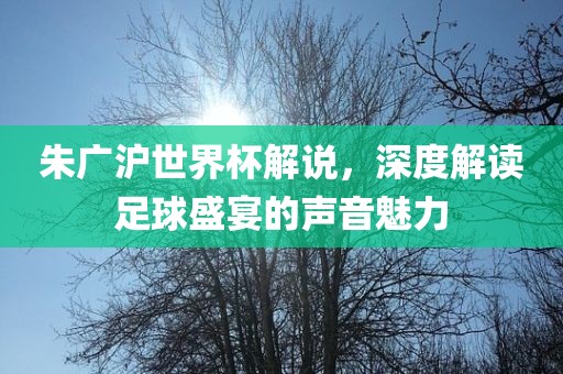 朱广沪世界杯解说，深度解读足球盛宴的声音魅力洪湖市顺升工程机械租赁有限公司