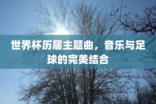 世界杯历届主题曲，音乐与足球的完美结合