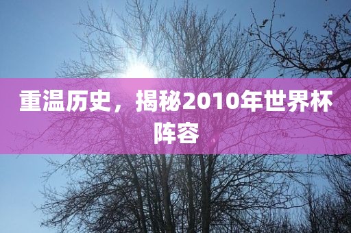 重温历史，揭秘2010年世界杯阵容