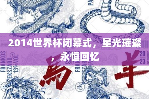 2014世界杯闭幕式，星光璀璨，永恒回忆