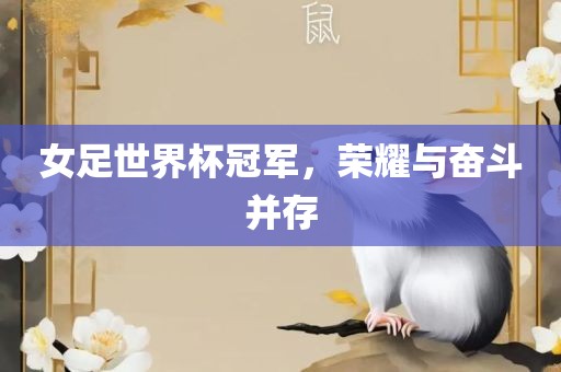 女足世界杯冠军，荣耀与奋斗并存