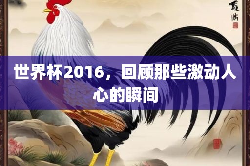 世界杯2016，回顾那些激动人心的瞬间
