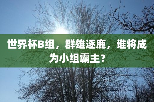 世界杯B组，群雄逐鹿，谁将成为小组霸主？
