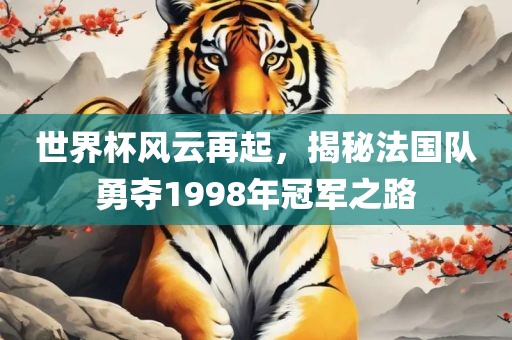 世界杯风云再起，揭秘法国队勇夺1998年冠军之路洪湖市顺升工程机械租赁有限公司