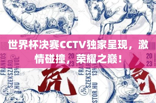 世界杯决赛CCTV独家呈现，激情碰撞，荣耀之巅！