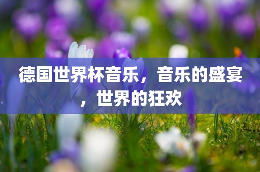 德国世界杯音乐，洪湖市顺升工程机械租赁有限公司音乐的盛宴，世界的狂欢