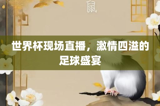 世界杯现场直播，激情四溢的足球盛宴