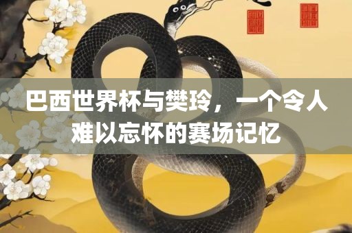 巴西世界杯与樊玲，一个令人难以忘怀的赛场记忆洪湖市顺升工程机械租赁有限公司