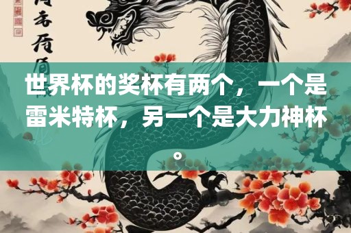 世界杯的奖杯有两个，一个是雷米特杯，另一个是大力神杯。