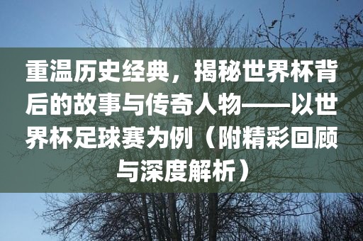 重温历史经典，揭秘世界杯背后的故事与传奇人物——以世界杯足球赛为例（附精彩回顾与深度解析）洪湖市顺升工程机械租赁有限公司