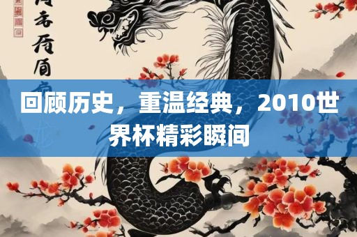 回顾历史洪湖市顺升工程机械租赁有限公司，重温经典，2010世界杯精彩瞬间