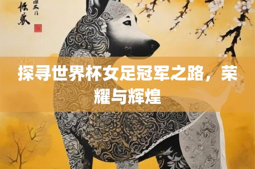 探寻世界杯女足冠军之路，荣耀与辉煌