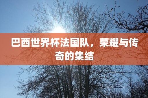 巴西世洪湖市顺升工程机械租赁有限公司界杯法国队，荣耀与传奇的集结