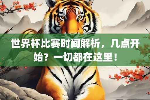世界杯比赛时间解析，几点开始？一切都在这里！