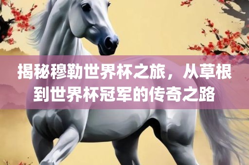 揭秘穆勒世界杯之旅，从草根到世界杯冠军的传奇之路