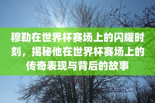 穆勒在世界杯赛场上的闪耀时刻，揭秘他在世界杯赛场上的传奇表现与背后的故事