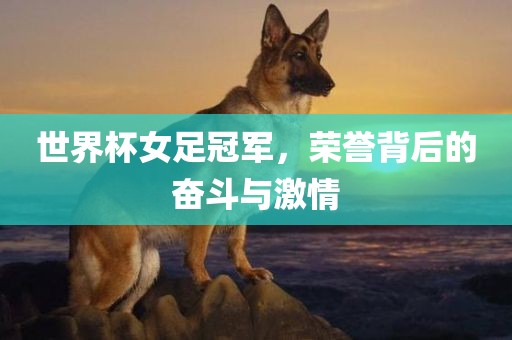 世界杯女足冠军，荣誉背后的奋斗与激情