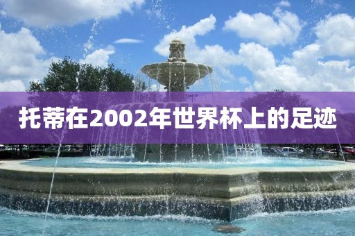 托蒂在2002年世界杯上的足迹洪湖市顺升工程机械租赁有限公司
