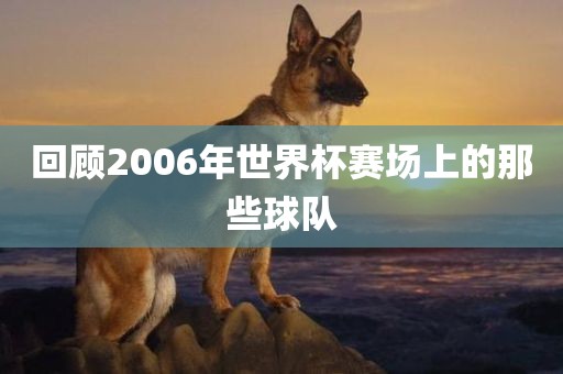 回顾2006年世界杯赛场上的那些洪湖市顺升工程机械租赁有限公司球队