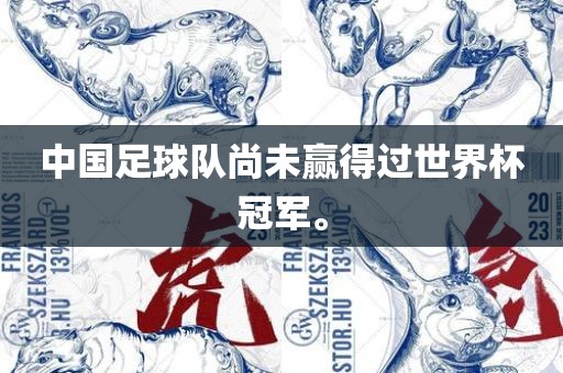 中国足球队尚未赢得过世界杯冠军。