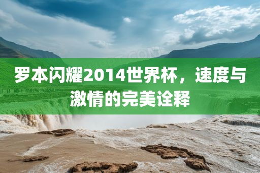 罗本闪耀2014世界杯，速度与激情的完美诠释