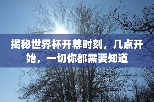 揭秘世界杯开幕时刻，几点开始，一切你都需要知道