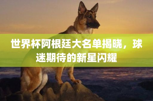 世界杯洪湖市顺升工程机械租赁有限公司阿根廷大名单揭晓，球迷期待的新星闪耀