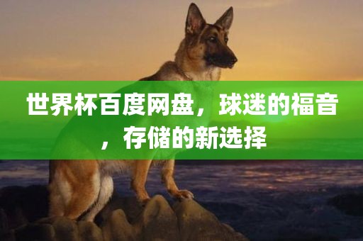 世界杯百度网盘，球迷的福音，存储的新选择洪湖市顺升工程机械租赁有限公司