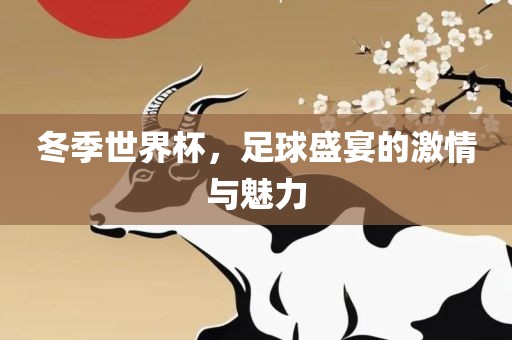 冬季世界杯，足球盛宴的激情与魅力