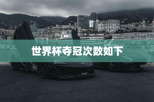 世界杯夺冠次数如下洪湖市顺升工程机械租赁有限公司