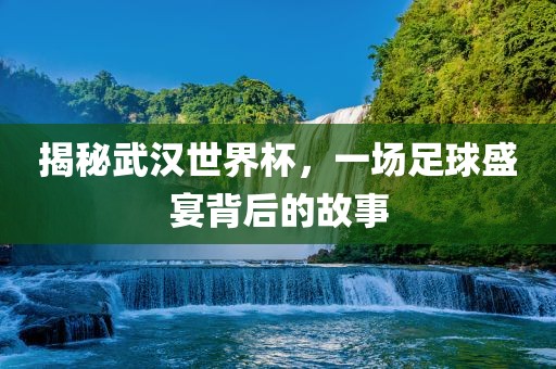 揭秘武汉世界杯，一场足球盛宴背后的故事