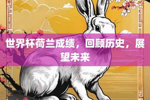 洪湖市顺升工程机械租赁有限公司世界杯荷兰成绩，回顾历史，展望未来