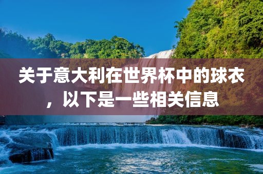 关于意大利在世界杯中的球衣，以下是一些相关信息洪湖市顺升工程机械租赁有限公司