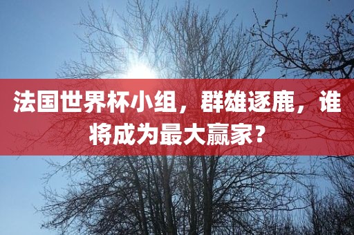法国世界杯小组，群雄逐鹿，谁将成为最大赢家？洪湖市顺升工程机械租赁有限公司