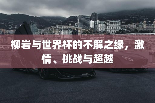 柳岩与世界杯的不解之缘，激情、挑战与超越洪湖市顺升工程机械租赁有限公司