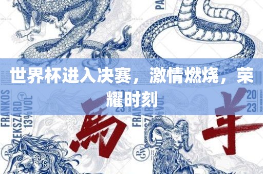 世界杯进入决赛，激情燃烧，荣耀时刻