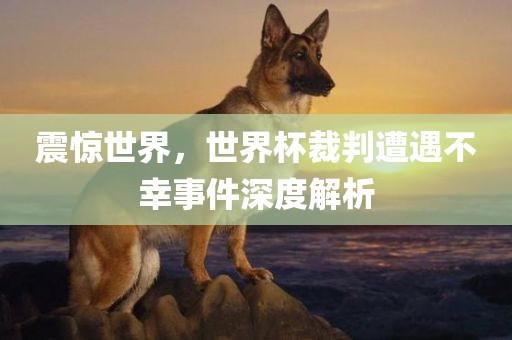 震惊世界，世界杯裁判遭遇不幸事件深度解析