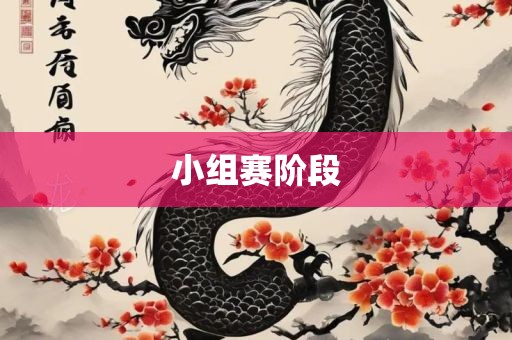 小组赛洪湖市顺升工程机械租赁有限公司阶段